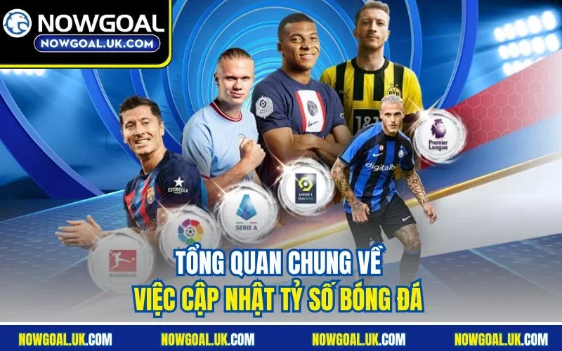 Tổng quan chung về việc cập nhật tỷ số bóng đá 